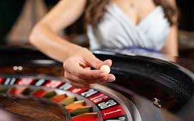 5gbet 8 login